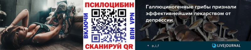 где найти наркотики Ряжск Псилоцибиновые грибы MAGIC MUSHROOMS